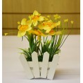 Bright Yellow Daffodils in Wooden Picket Fence