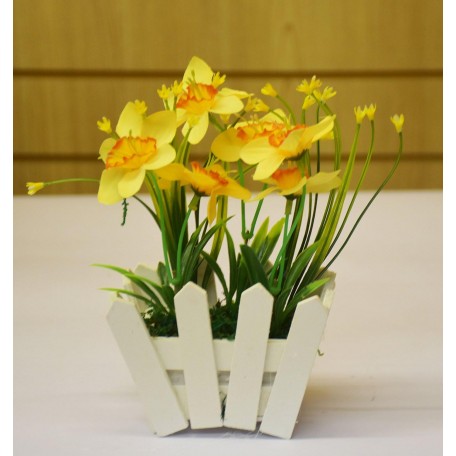 Bright Yellow Daffodils in Wooden Picket Fence