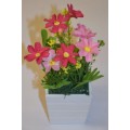 Mixed Pink and Cerise Daisies in Wooden Square Pot