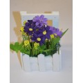 Purple Daisies in a Wooden Picket Fence