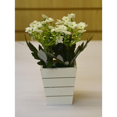 White Daisies in Square Wooden Pot